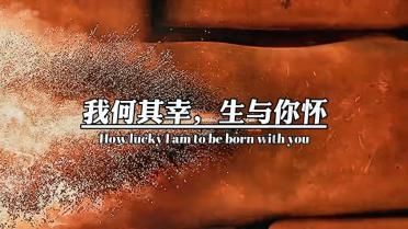 逃出白海豹洞